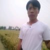 有机西红柿采摘的头像