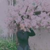 莺歌莺舞的头像