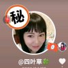 四叶草的头像