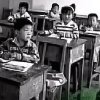 峰回路转的爱的头像