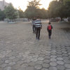 《涛声依旧》批发中药材的头像