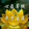 静清的头像