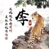 一生无悔的头像