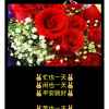 美凤凰默的头像