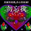 以诚相待的头像