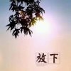海阔天空，勿花勿扰的头像