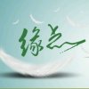 缘点的头像