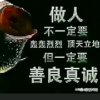 曾经拥有的头像