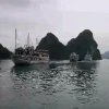 一帆风顺的头像
