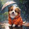 起个昵称很困难的头像