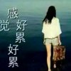 天山雪莲的头像