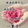 星星知莪心的头像