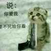 权哥的头像