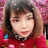 淡然的头像