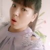 安娜公主的头像