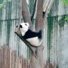 月下饮长歌的头像