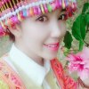 苗家姑凉迷彩奏的头像