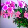 幸福的头像