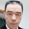 自由团主创的头像
