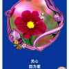 平安是福的头像