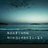 海阳的头像