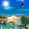 海上日出（暂退）的头像