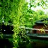 幸福持有者！的头像
