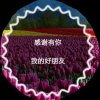 喜欢听歌的头像