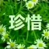 小虎（暂退)的头像