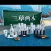 三草两木的头像