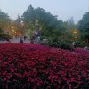 冬雨的头像