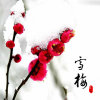 若雪寒梅的头像