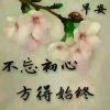 静默如花的头像