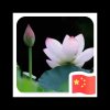 幸福一生的头像