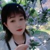 金岩碧玉的头像