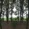 往后余生……的头像