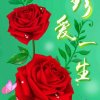 寒风的头像