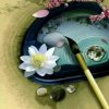 久违的诺言的头像