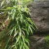 海的头像