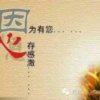 离歌（已退）的头像