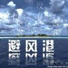避风港的头像