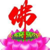f心莲(诸佛即救,诸佛即护一的头像
