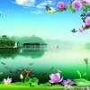 偲淰音效的头像