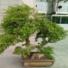 创造筑就成功的头像