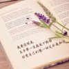 恒丰制衣的头像