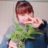 阳光的头像