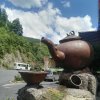 海阔天空的头像