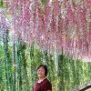 英英的头像