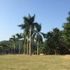心已伤透，爱已成灰的头像
