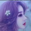 简单的幸福（禁私）的头像